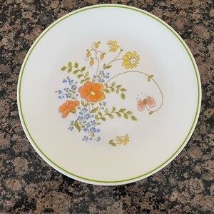 Set of 5 Corelle Dinner Plates